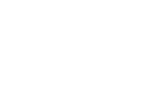 roisponsor
